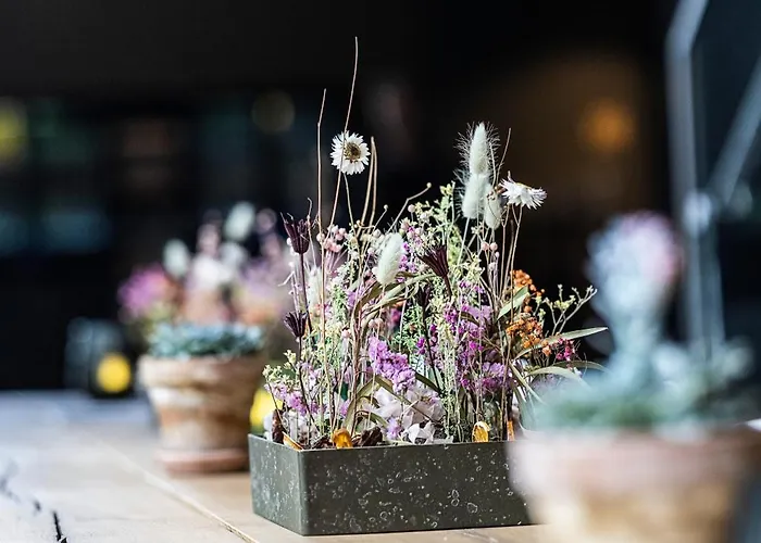 Hotel Peak 12 Viborg